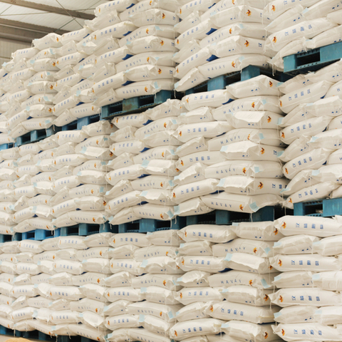 Other Animal Nutrition